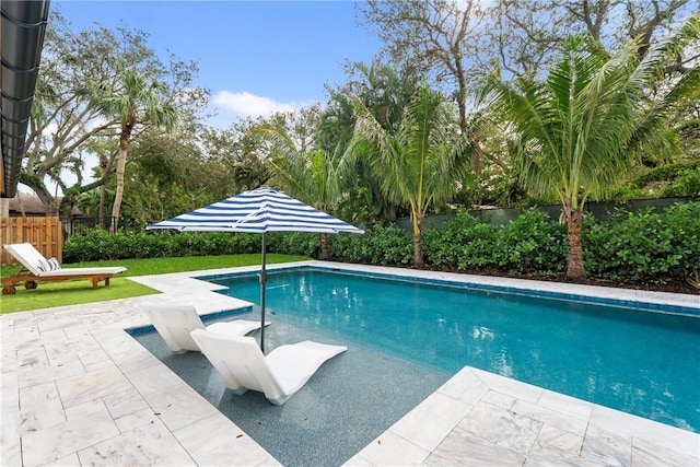 view of pool featuring a patio area