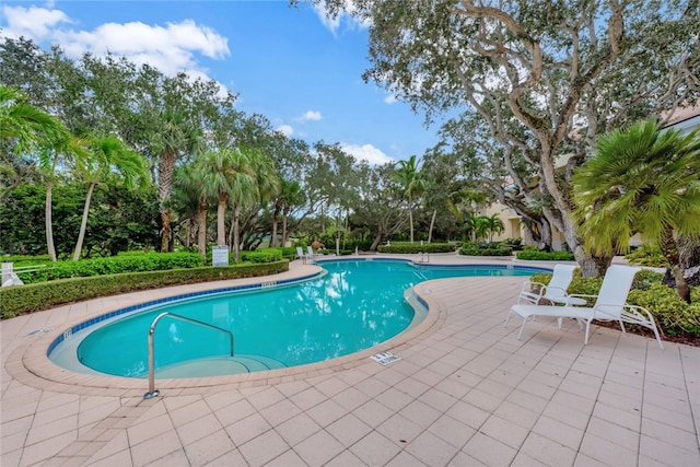 view of pool featuring a patio