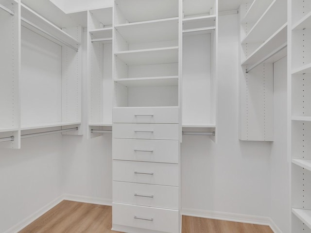 spacious closet featuring light hardwood / wood-style flooring