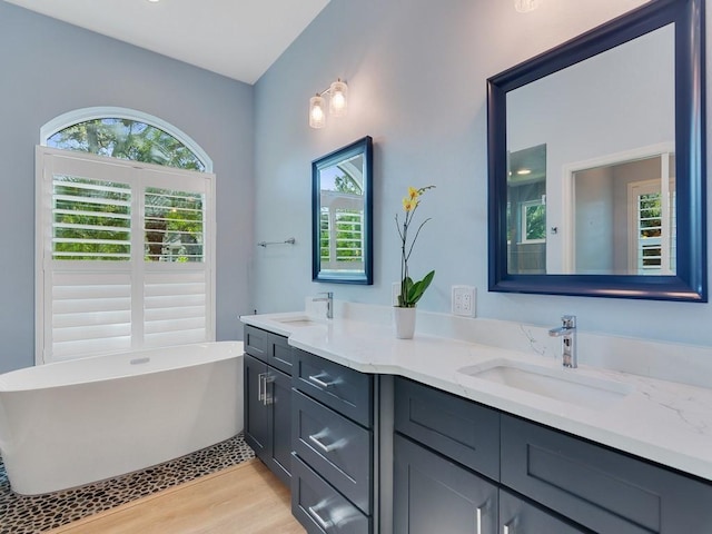 bathroom featuring a washtub, vanity, and wood-type flooring