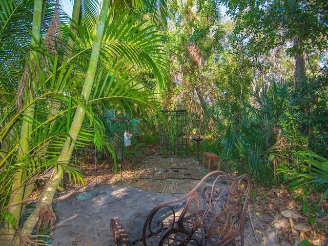 view of yard with a patio