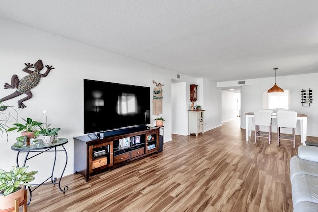 living room featuring hardwood / wood-style floors and a textured ceiling