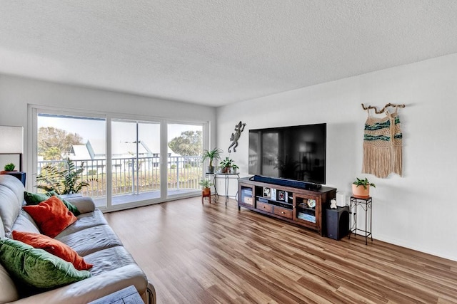 living room featuring wood-type flooring and a textured ceiling