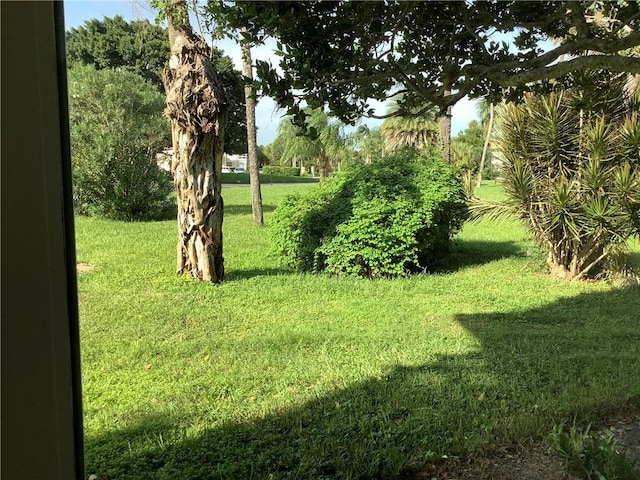 4 Vista Gardens Trl Unit 103, Vero Beach, FL 32962 - view of grassy yard