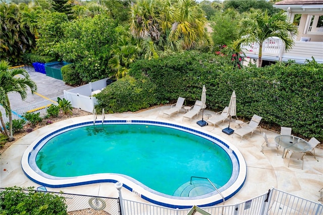 view of pool with a patio area