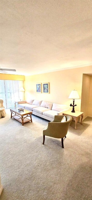 living room featuring carpet floors and a textured ceiling