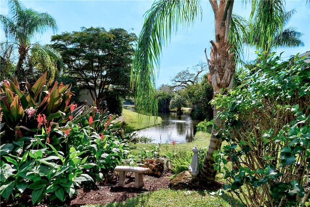 view of water feature