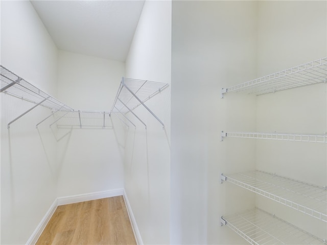 spacious closet featuring hardwood / wood-style floors