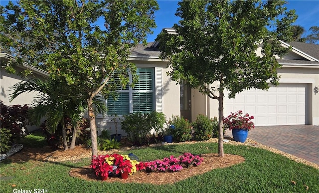 view of property hidden behind natural elements with a garage