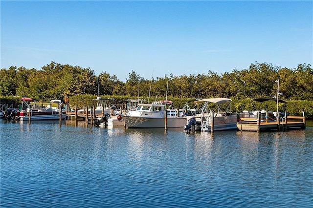 dock area featuring a water view