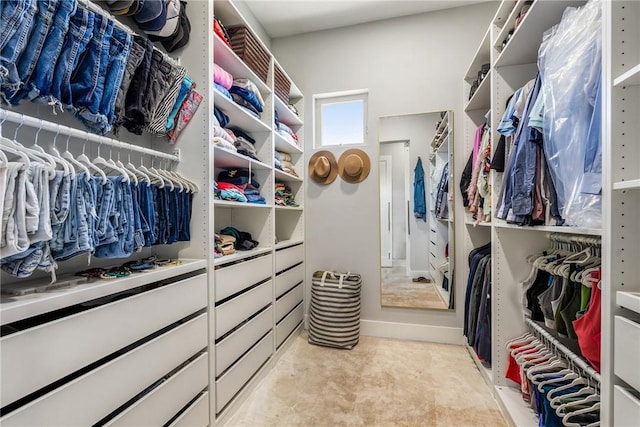 view of walk in closet