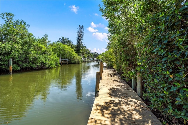 dock area with a water view