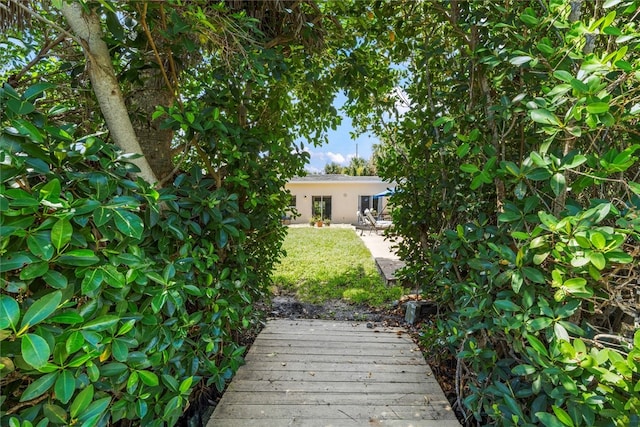 rear view of house featuring a patio area and a yard