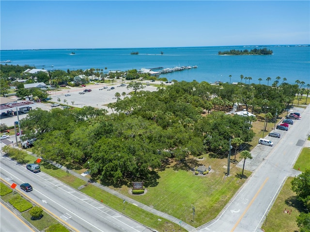 drone / aerial view with a water view