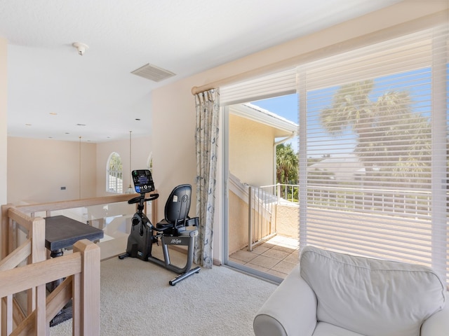 workout area with light carpet