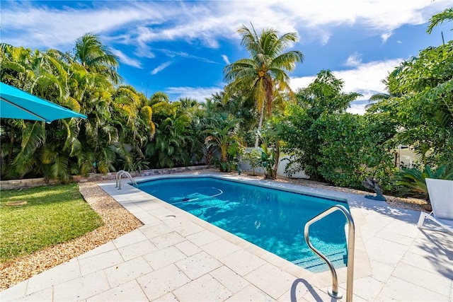 view of pool featuring a patio