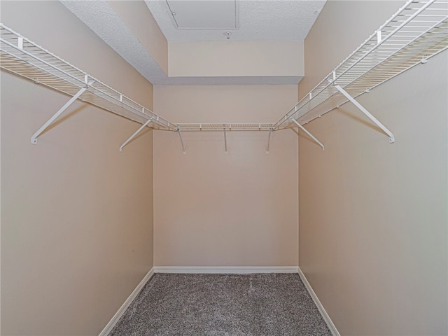 walk in closet with carpet