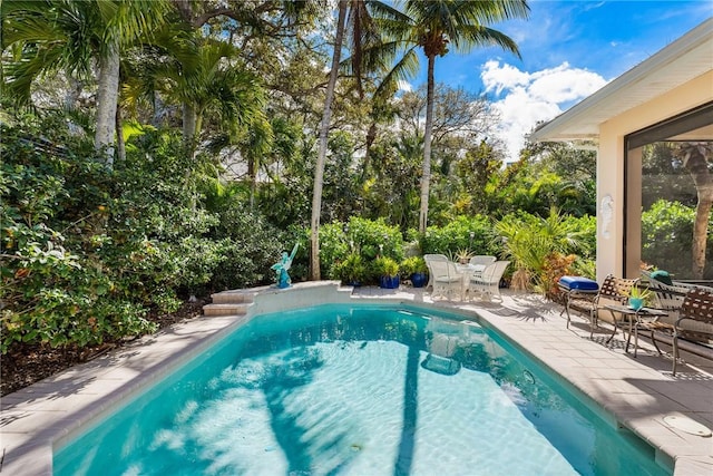 view of pool with a patio