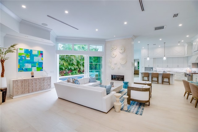 living room featuring a large fireplace and crown molding