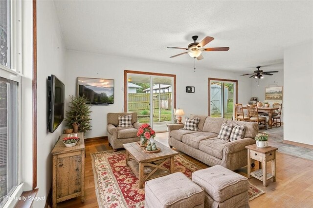 233 13th St SW, Vero Beach, FL 32962 - living room with ceiling fan and light wood-style flooring