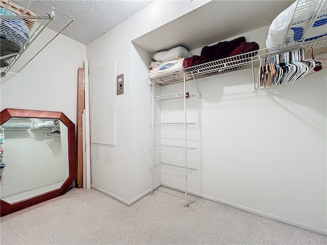 walk in closet with carpet floors