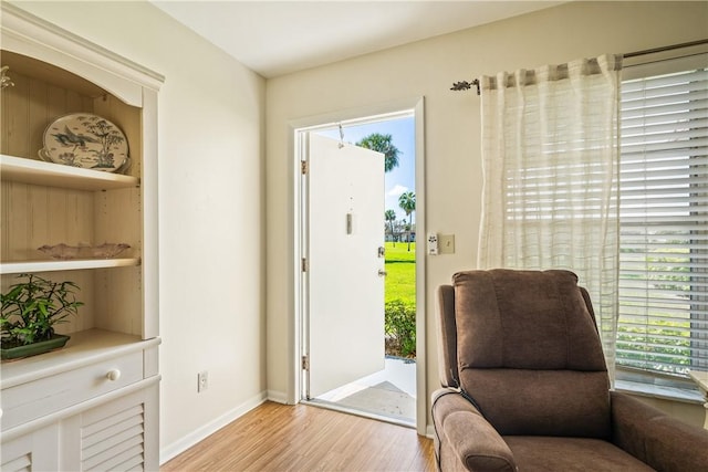 interior space featuring a wealth of natural light and light hardwood / wood-style flooring