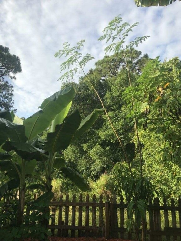 450 Hazel St, Sebastian, FL 32958 - view of mountain background