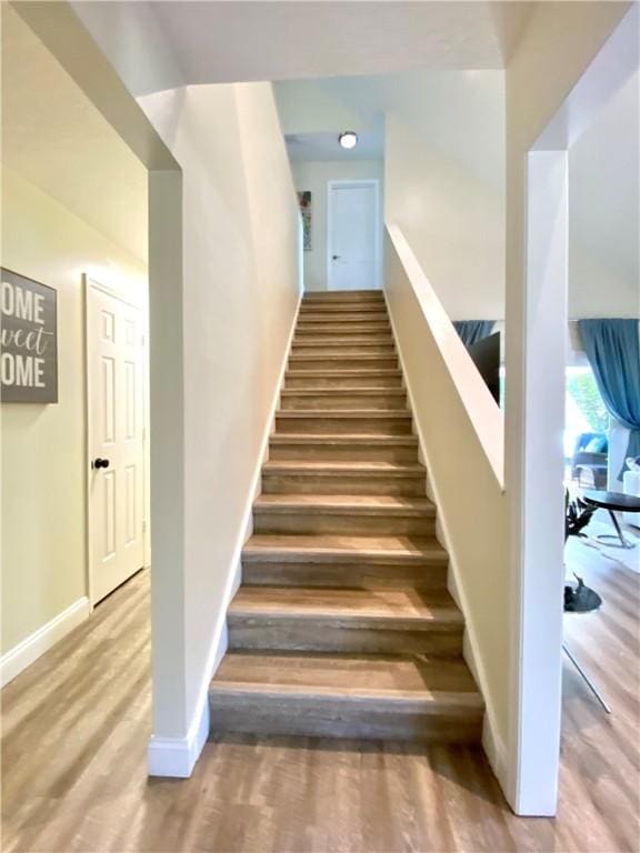 stairway featuring wood-type flooring