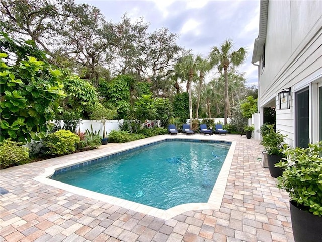 view of swimming pool featuring a patio