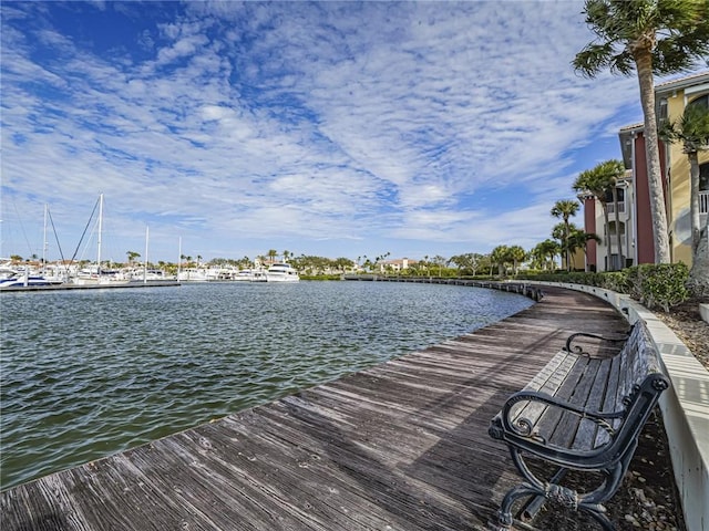 dock area with a water view