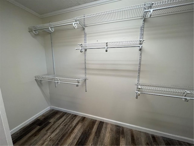 spacious closet featuring wood finished floors