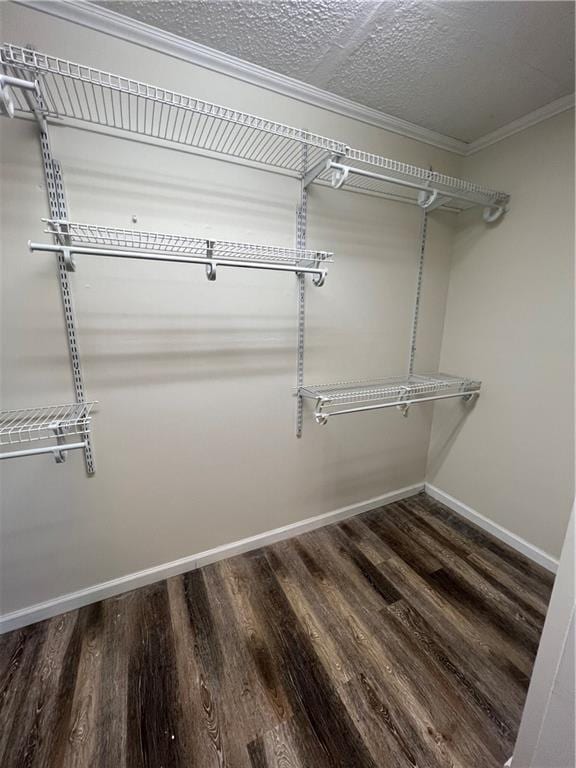 spacious closet featuring wood finished floors