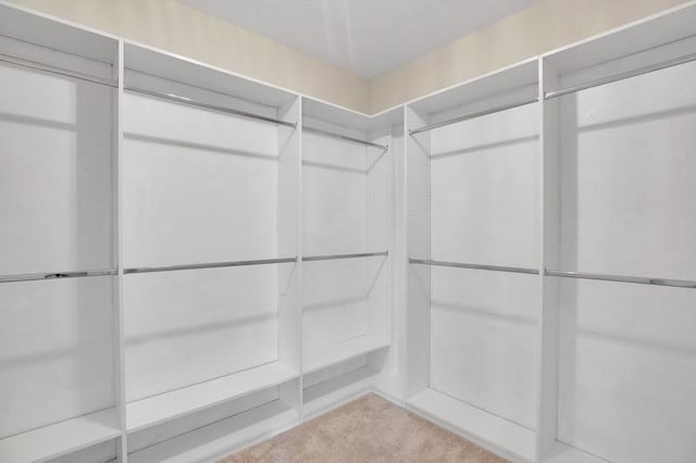 walk in closet featuring carpet