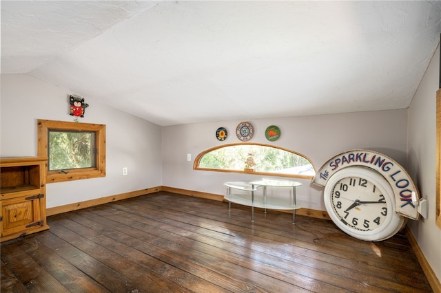 unfurnished room featuring dark hardwood / wood-style floors and vaulted ceiling