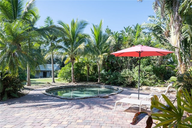 view of swimming pool