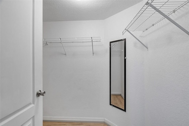 spacious closet featuring hardwood / wood-style floors