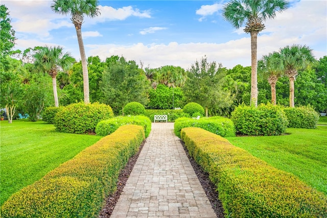 view of home's community featuring a yard