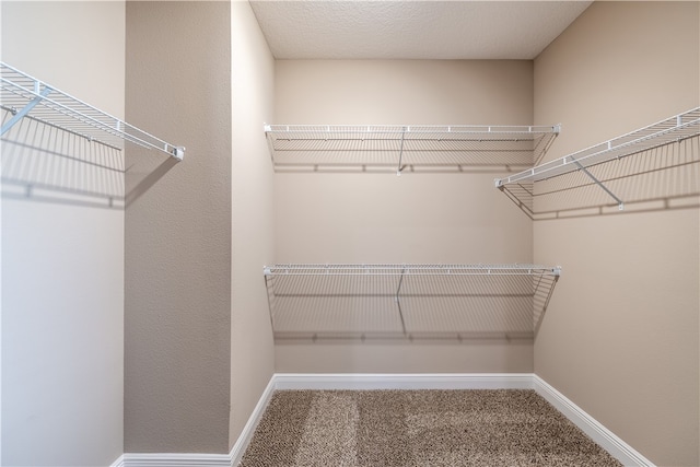 walk in closet with carpet flooring