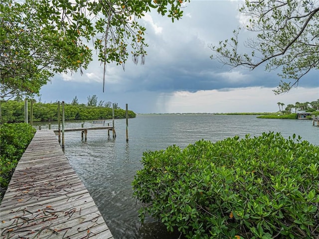 dock area featuring a water view