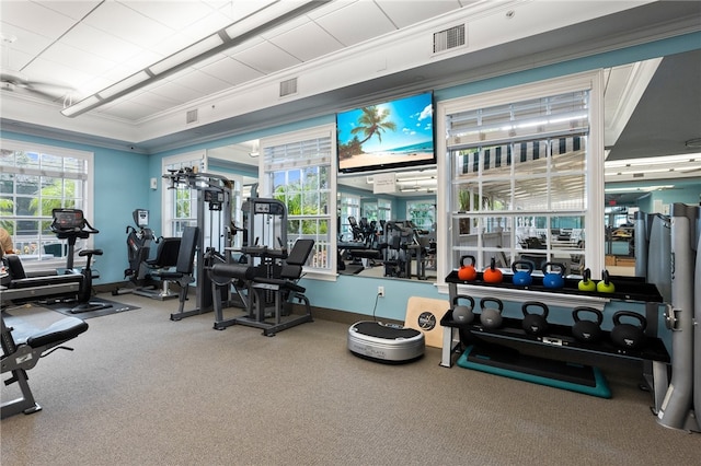 gym featuring crown molding and carpet