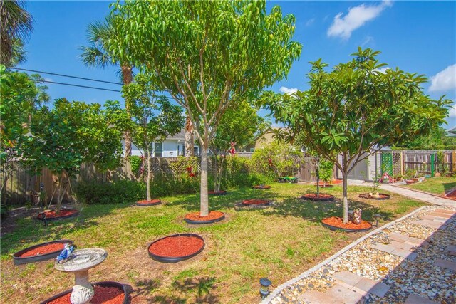 1359 Damask Ln, Sebastian, FL 32958 - view of yard