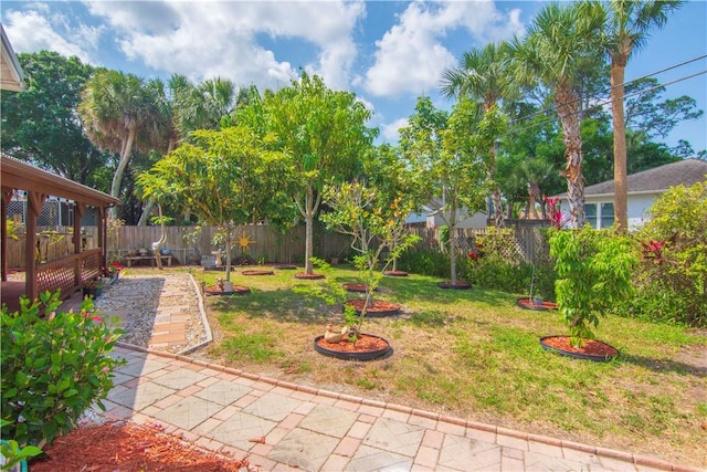 1359 Damask Ln, Sebastian, FL 32958 - view of yard with a patio