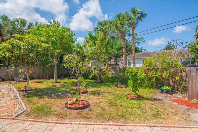 1359 Damask Ln, Sebastian, FL 32958 - view of yard