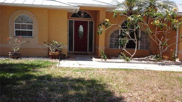 view of exterior entry with a standing seam roof, stucco siding, metal roof, and a yard