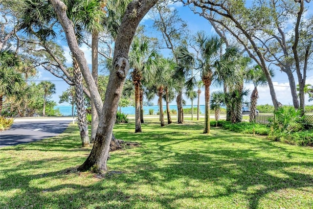 view of yard featuring a water view