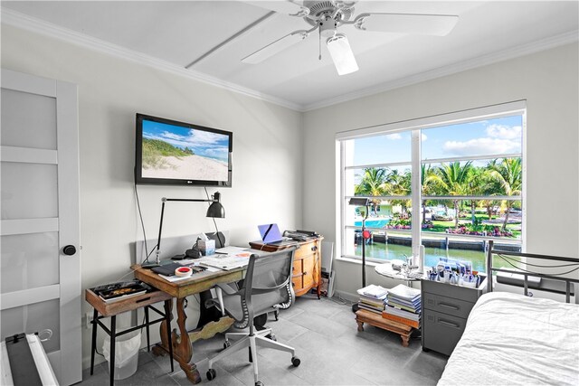 interior space featuring ceiling fan and crown molding