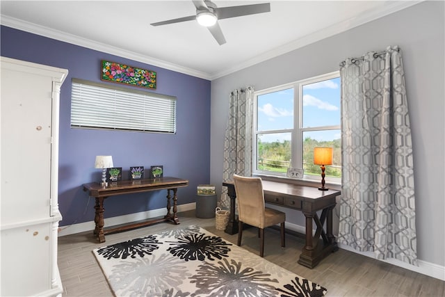 office area with crown molding, plenty of natural light, light hardwood / wood-style floors, and ceiling fan