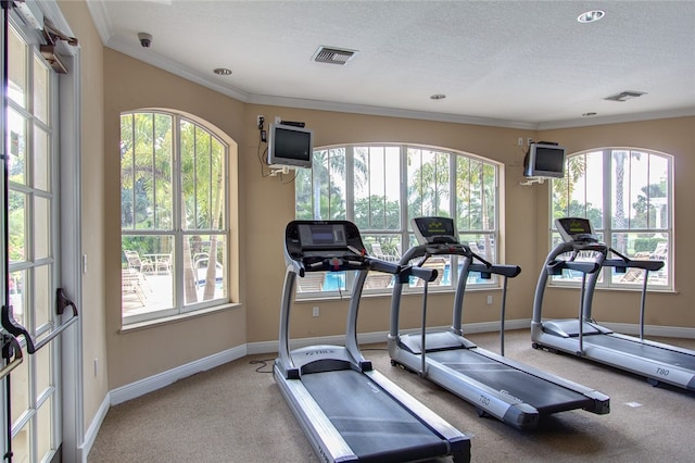 workout area with a wealth of natural light, crown molding, carpet floors, and a textured ceiling