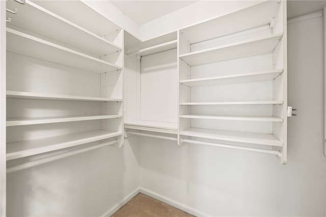 walk in closet featuring carpet floors