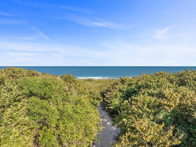 property view of water featuring a beach view